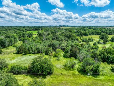 Tbd County Road 132 Bedias TX 77831
