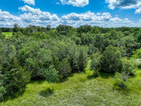 Tbd County Road 132 Bedias TX 77831