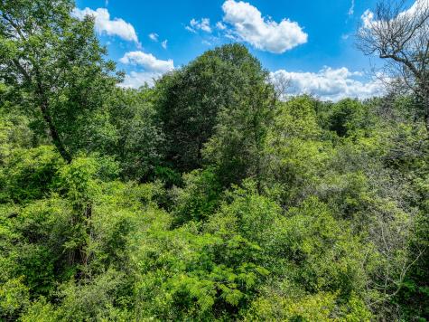 Tbd County Road 132 Bedias TX 77831