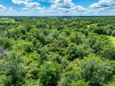 Tbd County Road 132 Bedias TX 77831
