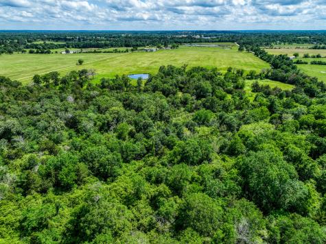 Tbd County Road 132 Bedias TX 77831