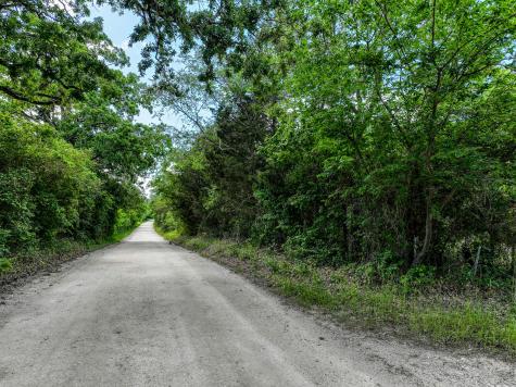 Tbd County Road 132 Bedias TX 77831