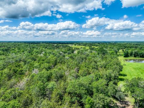Tbd County Road 132 Bedias TX 77831