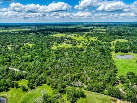 Tbd County Road 132 Bedias TX 77831
