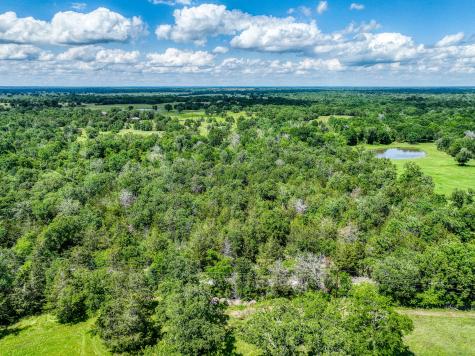Tbd County Road 132 Bedias TX 77831