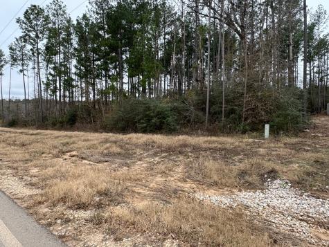 14-37-61a Dipping Vat Road New Waverly TX 77358