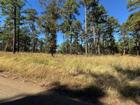 057 Private Road 6028 Brookeland TX 75931