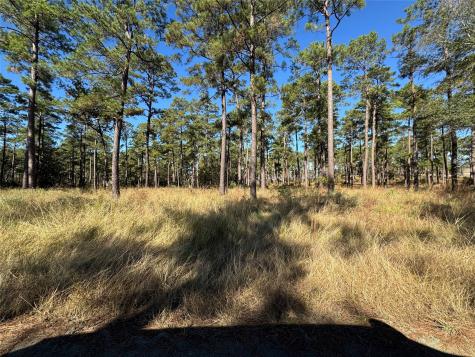 057 Private Road 6028 Brookeland TX 75931