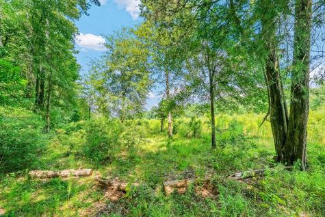 426 County Road 1420 Warren TX 77664