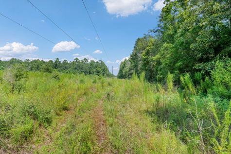 426 County Road 1420 Warren TX 77664