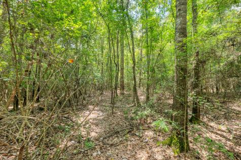 426 County Road 1420 Warren TX 77664