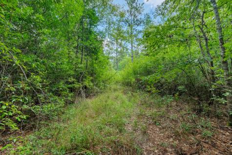 426 County Road 1420 Warren TX 77664