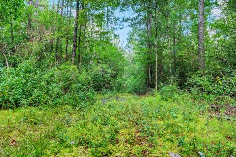 426 County Road 1420 Warren TX 77664