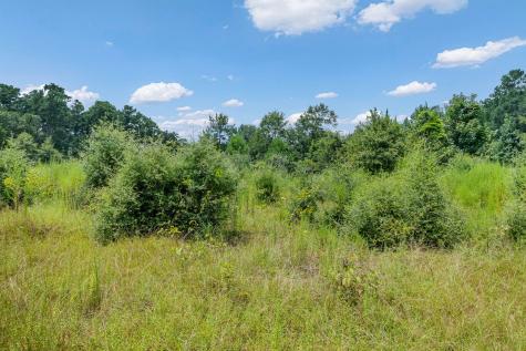 426 County Road 1420 Warren TX 77664