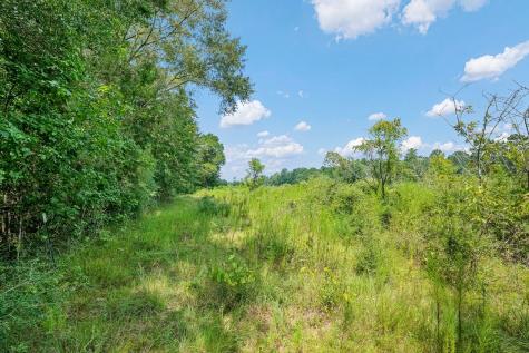 426 County Road 1420 Warren TX 77664