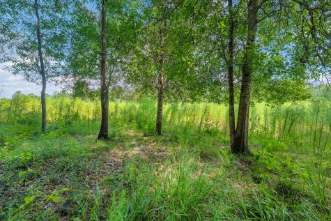 426 County Road 1420 Warren TX 77664