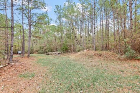 12895 County Road 201 Plantersville TX 77363