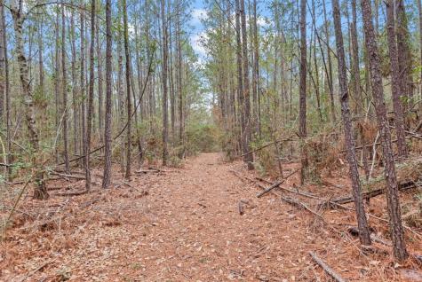 12895 County Road 201 Plantersville TX 77363