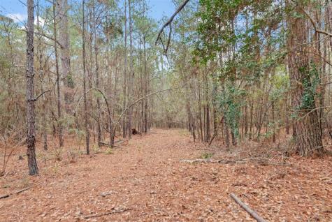 12895 County Road 201 Plantersville TX 77363