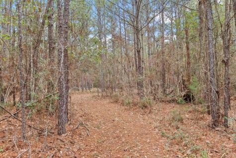 12895 County Road 201 Plantersville TX 77363