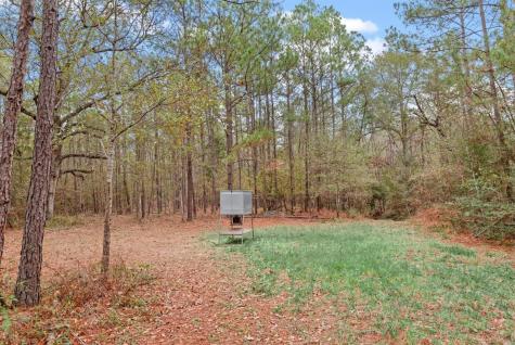 12895 County Road 201 Plantersville TX 77363