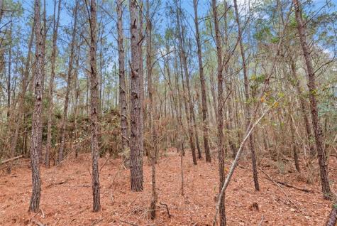 12895 County Road 201 Plantersville TX 77363