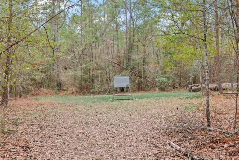 12895 County Road 201 Plantersville TX 77363
