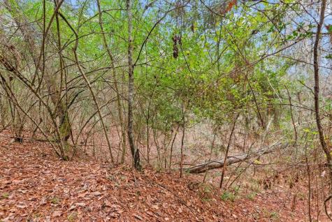 12895 County Road 201 Plantersville TX 77363