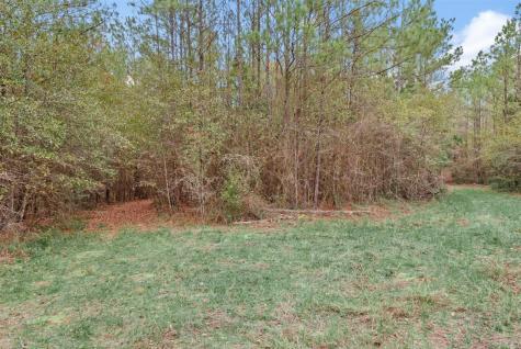 12895 County Road 201 Plantersville TX 77363