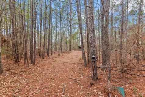 12895 County Road 201 Plantersville TX 77363