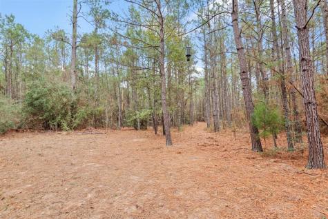12895 County Road 201 Plantersville TX 77363