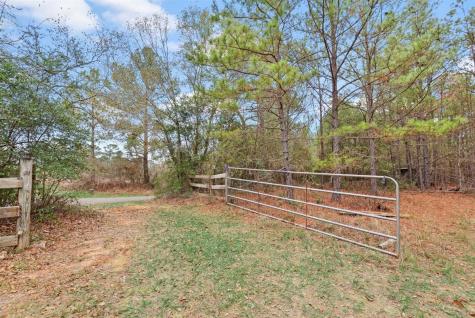 12895 County Road 201 Plantersville TX 77363