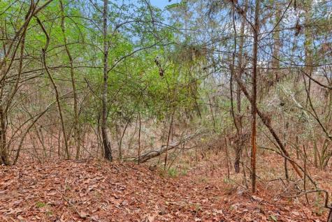 12895 County Road 201 Plantersville TX 77363
