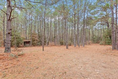 12895 County Road 201 Plantersville TX 77363