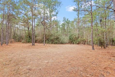 12895 County Road 201 Plantersville TX 77363