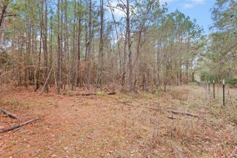 12895 County Road 201 Plantersville TX 77363