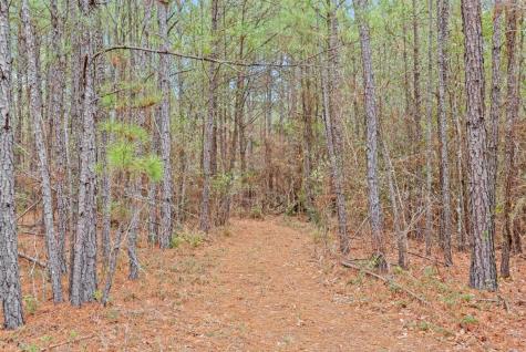 12895 County Road 201 Plantersville TX 77363