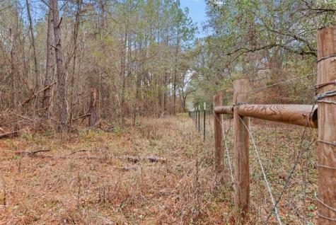 12895 County Road 201 Plantersville TX 77363