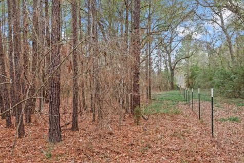 12895 County Road 201 Plantersville TX 77363