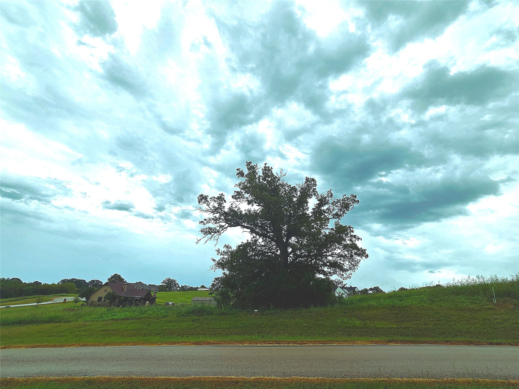 Lot 113 Shore Crest Way Athens TX 75752