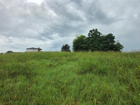 Lot 113 Shore Crest Way Athens TX 75752