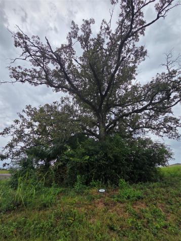 Lot 113 Shore Crest Way Athens TX 75752