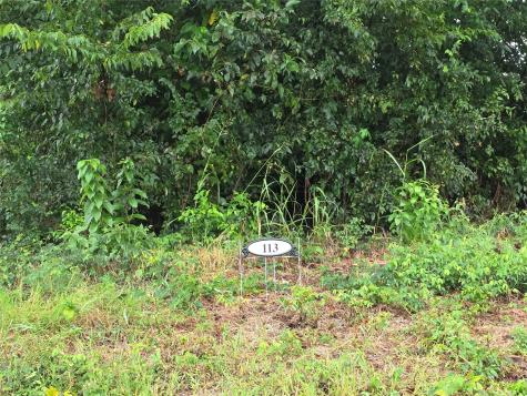 Lot 113 Shore Crest Way Athens TX 75752