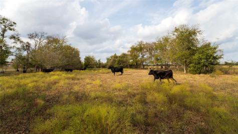 4646 Fm 2679 Road Burton TX 77835