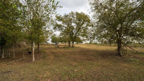 4646 Fm 2679 Road Burton TX 77835