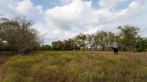 4646 Fm 2679 Road Burton TX 77835