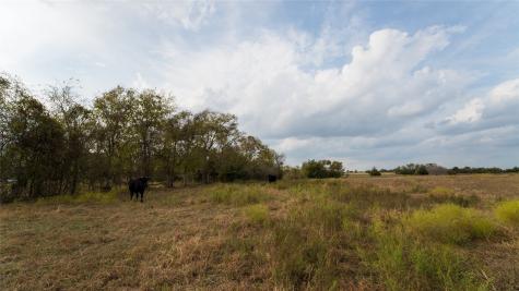 4646 Fm 2679 Road Burton TX 77835