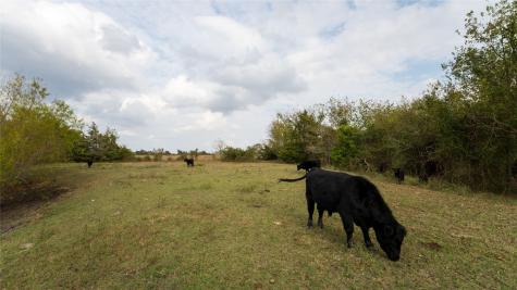 4646 Fm 2679 Road Burton TX 77835