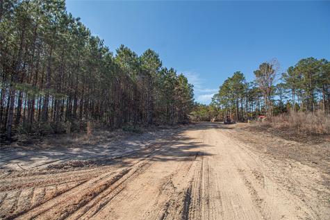 Tbd Sandydale Lane Livingston TX 77351