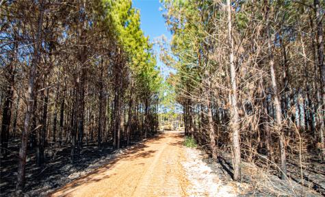Tbd Sandydale Lane Livingston TX 77351